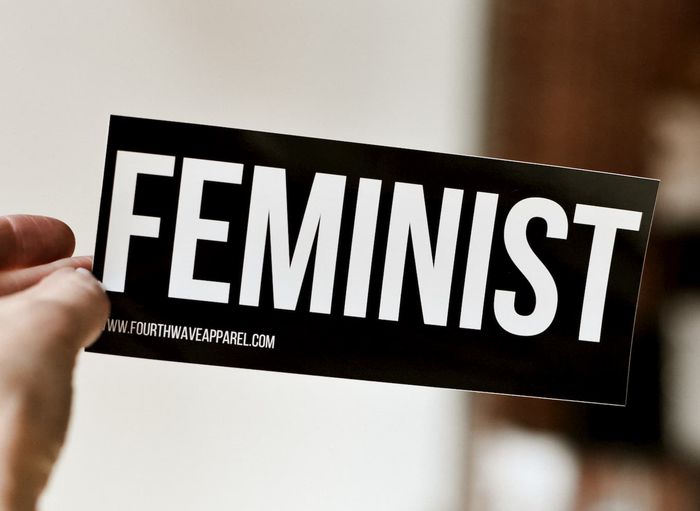 Реферат: Feminism And Diversity Essay Research Paper